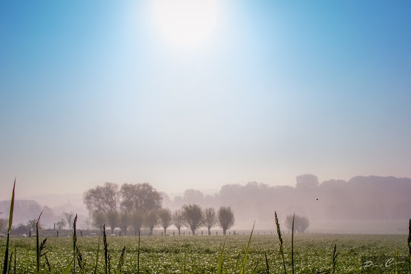 se soigner naturellement